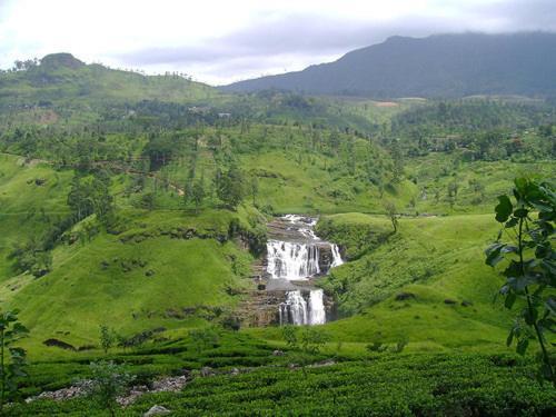 Galway Forest Lodge Hotel Nuwara Eliya Extérieur photo